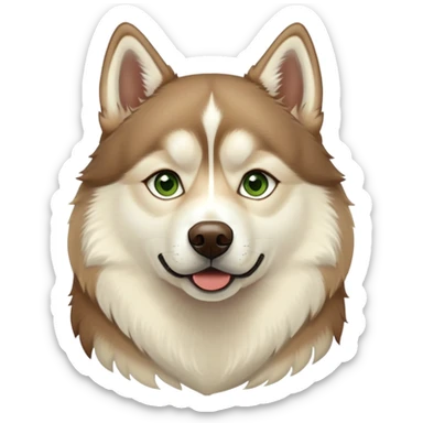 Brown Siberian husky with a cream band and green eyes  sticker