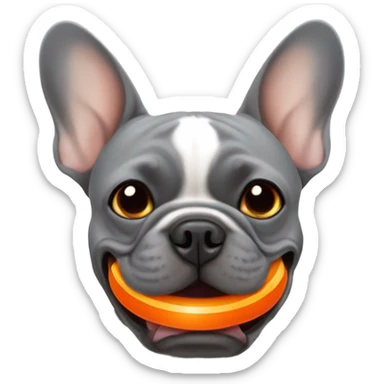 Grey French bulldog with orange ball in its mouth  sticker
