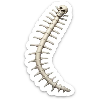 colonna vertebrale  sticker