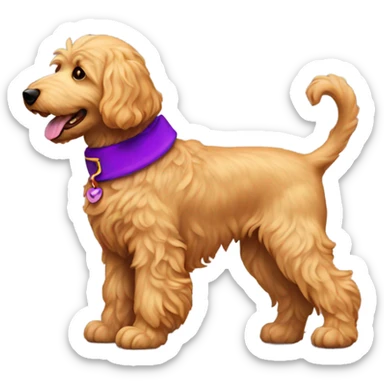 Golden doodle with purple collar raising her back leg sticker