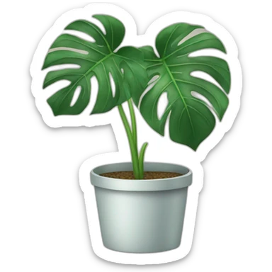 Monstera plant sticker