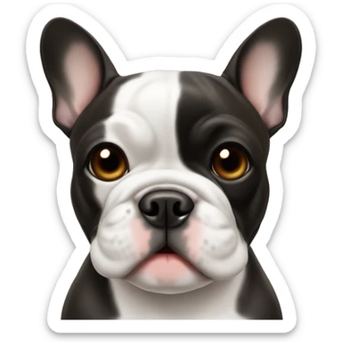 French bulldog black and white with brown eyes sticker
