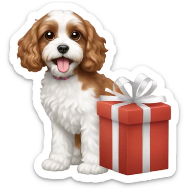 Brown and white cavapoo and gift box sticker