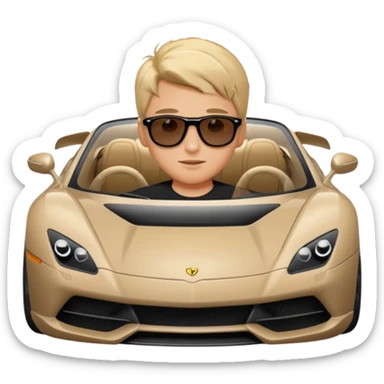 A rich boy in the super car  sticker