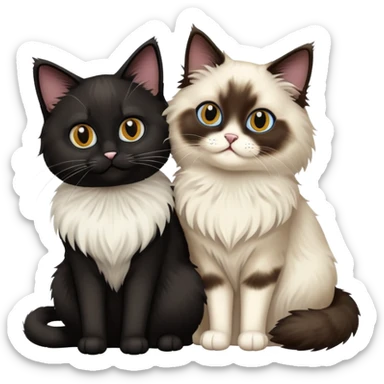 A ragdoll cat and a black cat together sticker