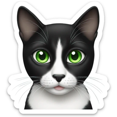 Black and white cat with green eyes sticker