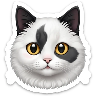 Lovely cat black withe shorthair sticker