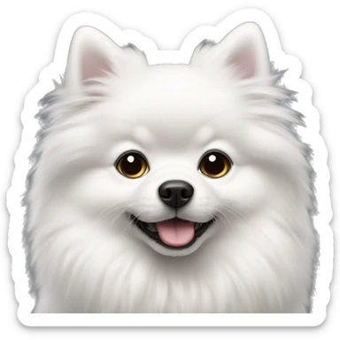 fluffy white pomerain with one black ear sticker