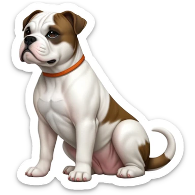 cinematic-[american bulldog]-realistic-full-body-sitting-emoji,-tail-resting-loosely-beside-its-paws,-head-tilted-dramatically,-sleek-[pied black]-fur,-simplified-yet-realistic-focused-features,-highly-detailed,-glowing-with-an-almost-sarcastic-glow sticker