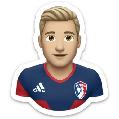 Olympique lyonnais ol sticker