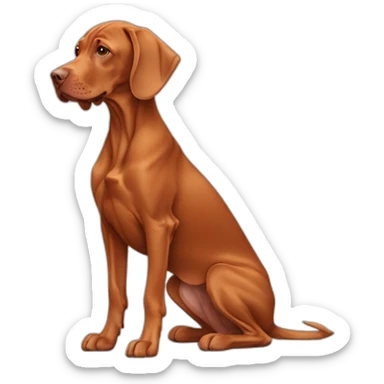 hungarian vizsla sticker