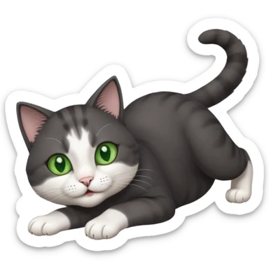 beautiful female solid dark grey cat with green eyes, white toes/paws and white patch on her chest playfully rolling upside down sticker