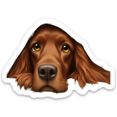 Irish setter and girl under blanket sticker