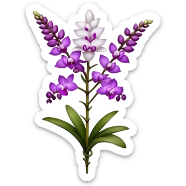 single white purple Rhynchostylis Orchid, 
straight stem sticker
