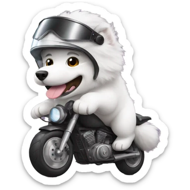 Samoyed with a motorcycle helmet sticker