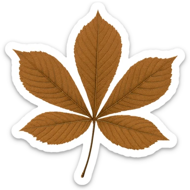 chestnut leaf sticker