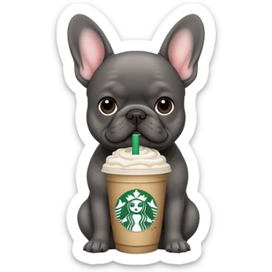 dark grey french bulldog with starbucks drink sticker