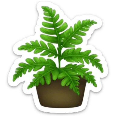 Fern sticker