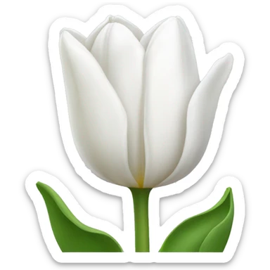 White tulip sticker