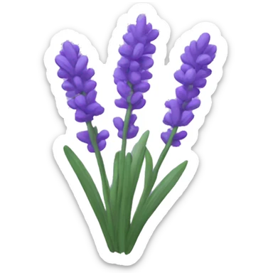 Lavender  sticker