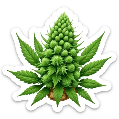 Cannabis nug sticker