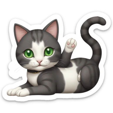 beautiful female solid dark grey cat with green eyes, white toes/paws and white patch on her chest playfully rolling upside down sticker