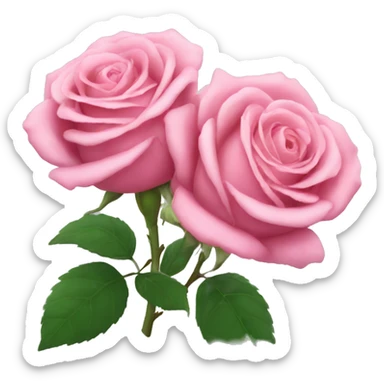 Pink roses  sticker