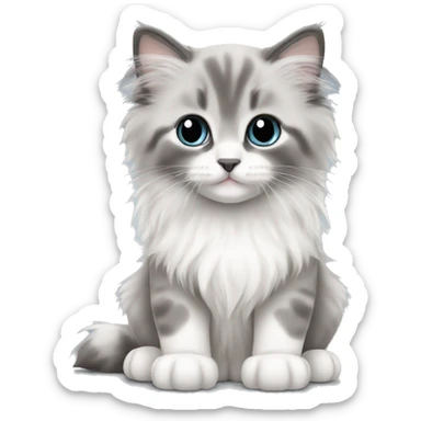 baby long haired gray and white ragdoll kitten sticker