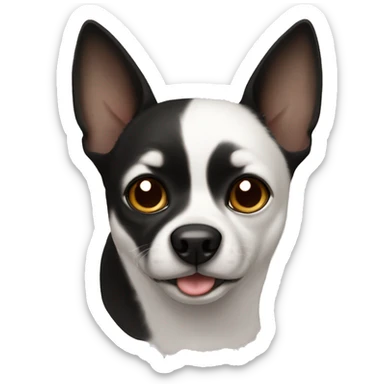 Black hihuahua with brown eyes and white nose and toes  sticker