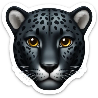 black jaguar sticker