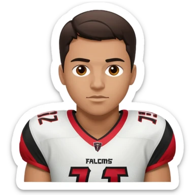 Atlanta falcons sticker