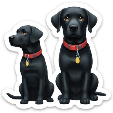 black-coloured labrador on the left with red collar, black-coloured labrador on the right with light blue collar. sticker