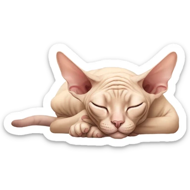 Sphynx cat sleeps sticker