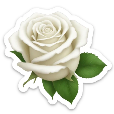 White roses sticker