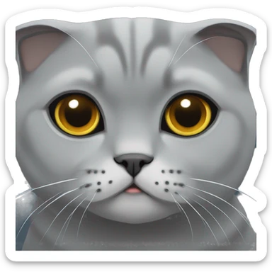 grey scottish fold sticker