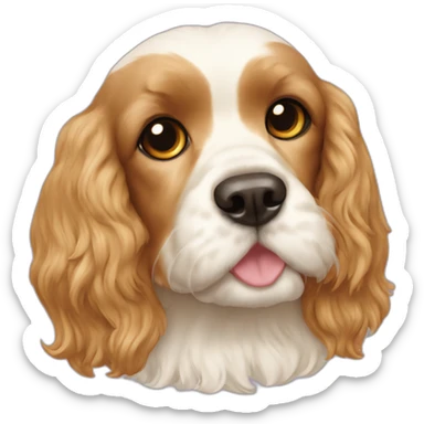 Cocker spaniel shitzu mix with a halo sticker