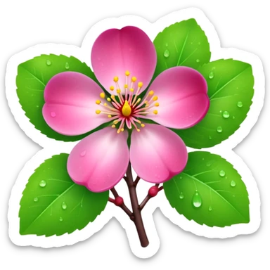 Realistic plum blossom flower, high definition, dew drops, realistic vibrant green leaves sticker