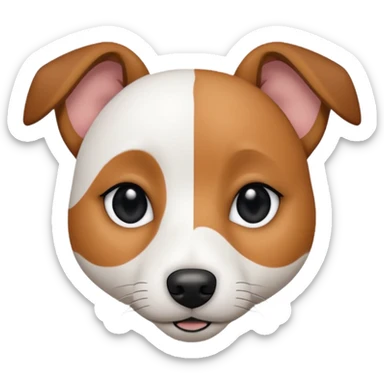 a fully white jack russell the size of a kelpie with a half white face sticker