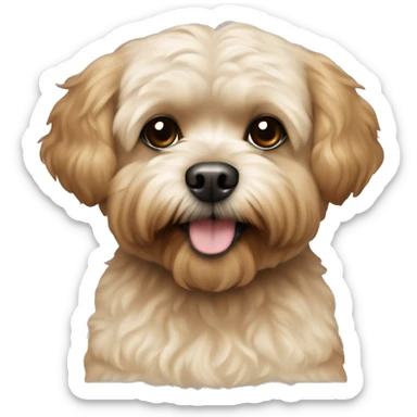 blonde and brown shihpoo dog sticker