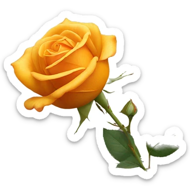 Orange-yellow rose still life with stem sticker