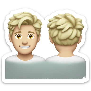 Niall Horan sticker