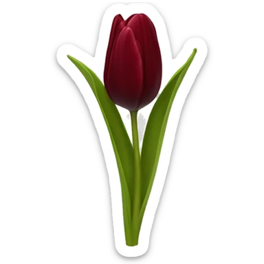 Dark red tulip sticker