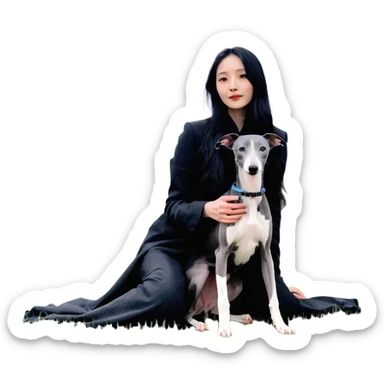 A very beautiful and attractive 25-year-old Chinese woman with long flowing black hair and a pure solid dark grey Italian Greyhound with ABSOLUTELY NO white markings anywhere on its body sitting under a cherry blossom tree. The dog must be completely solid dark grey with no white on chest, no white on muzzle, no white on paws - entirely one solid dark grey color. sticker