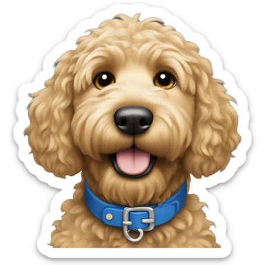 Golden doodle blue collar sticker
