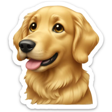 Gold retriever  sticker