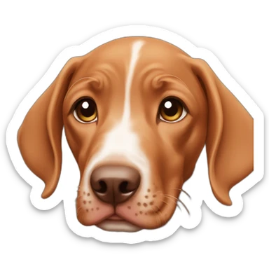 Vizsla dog pup  sticker