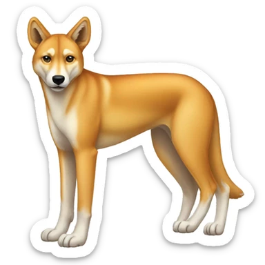 Dingo Full Body sticker
