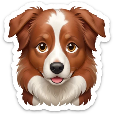 Red merle Australian Shepherd with fully brown face sticker