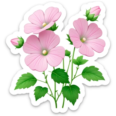 Mallow plant sticker