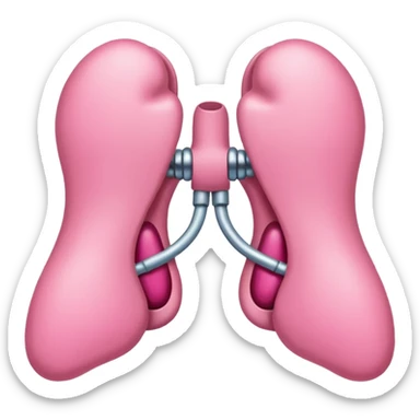 Thyroid gland sticker